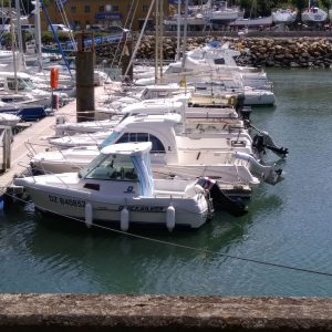 bateau occasion Quicksilver 460 timonier