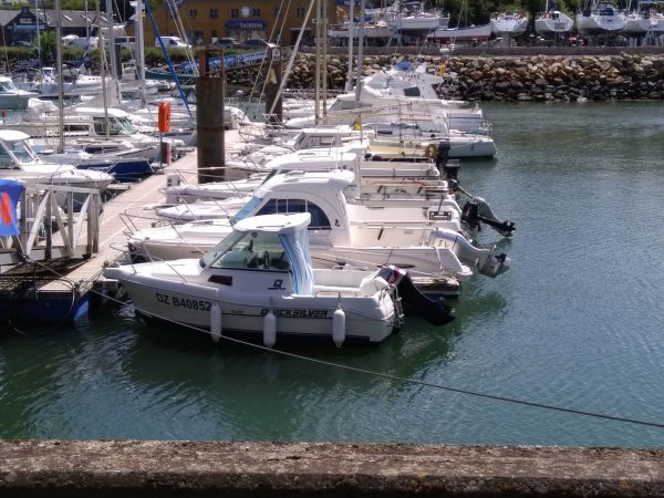 bateau occasion Quicksilver 460 timonier